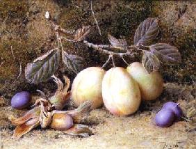 Still Life with plums and nuts
