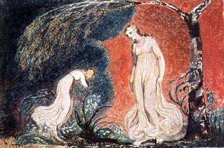 Book of Thel; the Lily bowing before Thel, before going off 'to mind her numerous charge among the v from William Blake