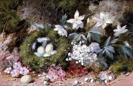 Still Life with Bird's Nest from William Cruikshank