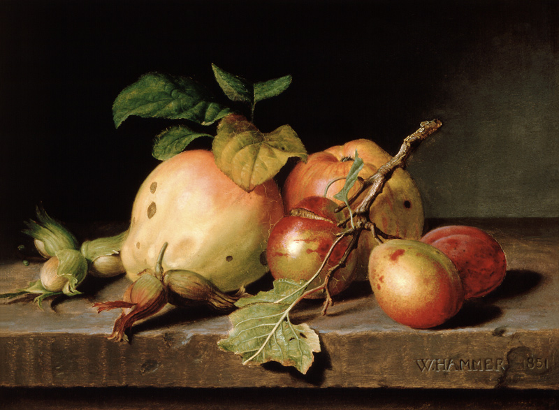 Still life with fruits from William Hammer