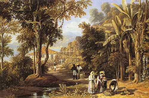 Garden scene of the Borganza coast, Rio de Janeiro from William Havell
