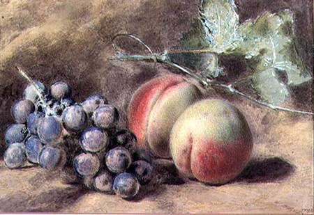 Grapes and Peaches from William Henry Hunt