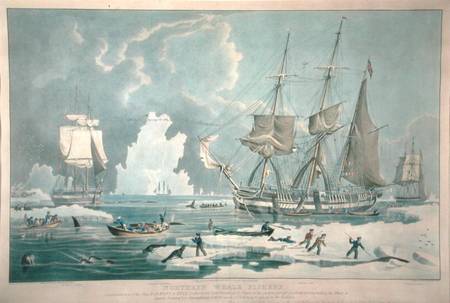 Northern Whale Fishery, engraved by E. Duncan from William John Huggins