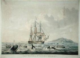 South Sea Whale Fishery, engraved by T. Sutherland