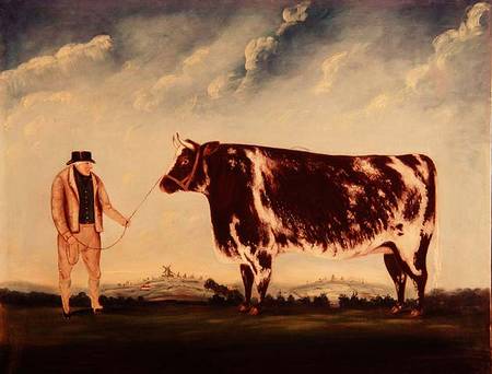 Study of a Shorthorn from William Joseph Shayer