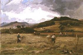 Haymaking