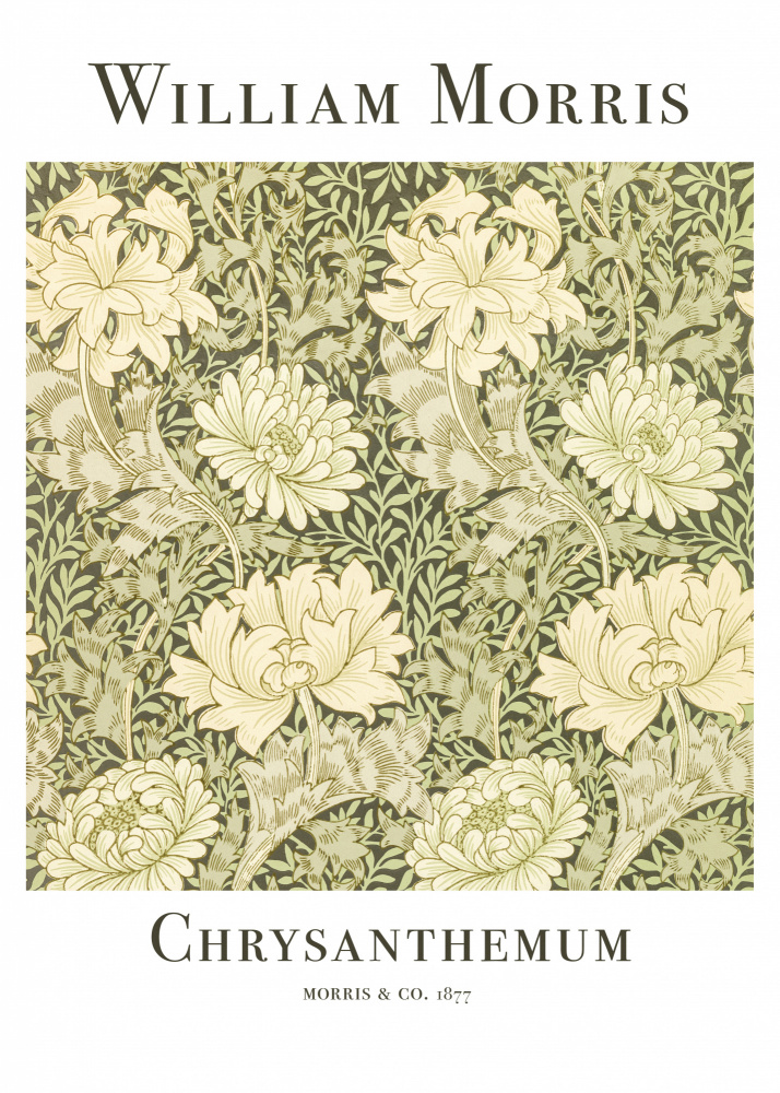 Chrysanthemum from William  Morris