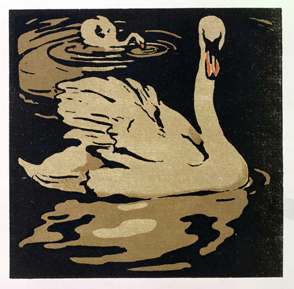 The Beautiful Swan, illustration from The Square Book of Animals, published by William Heinemann, 18 from William Nicholson