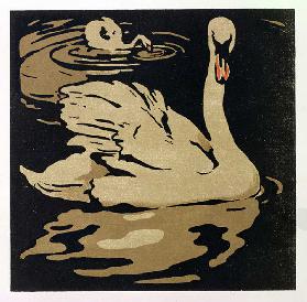 The Beautiful Swan, illustration from The Square Book of Animals, published by William Heinemann, 18