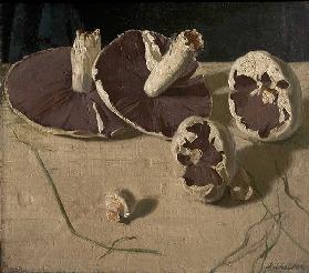 Mushrooms, 1927