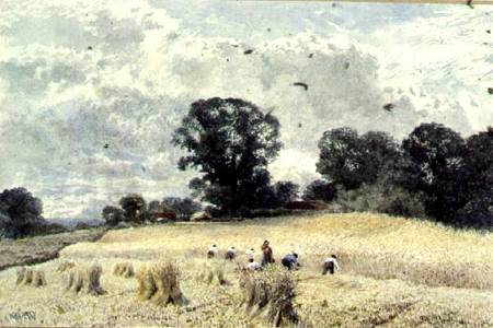 The Harvest from William Paton Burton