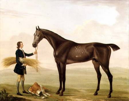 A Dapple Grey Stallion held by a Groom from William Shaw