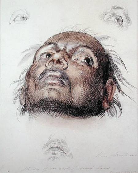 Study of an East Indian's Head from William Strutt