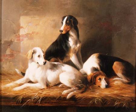 Three Hounds in a Stable from William u. Henry Barraud