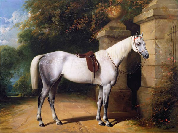 A Grey Horse by Park Gates from William u. Henry Barraud