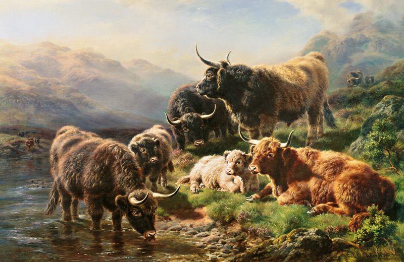 Highland Cattle from William Watson