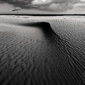 Umbrella on the beach...............