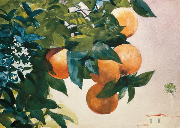 Branch with oranges from Winslow Homer