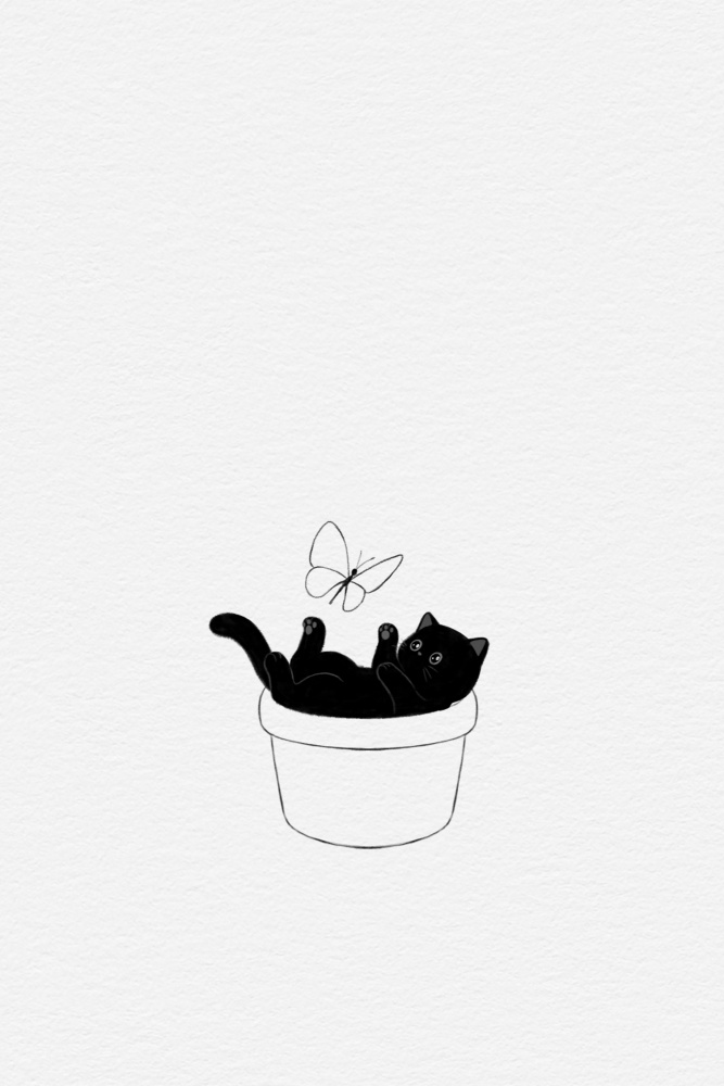 Cute Black Cat from Xuan Thai