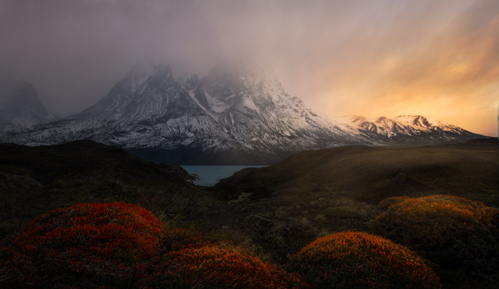 Spring time at Patagonia from Yanny Liu