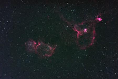 Heart Nebula and Fetal Nebula