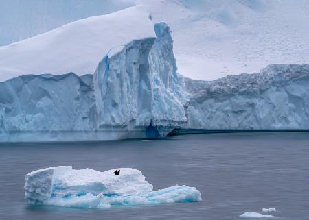 Together on Iceberg